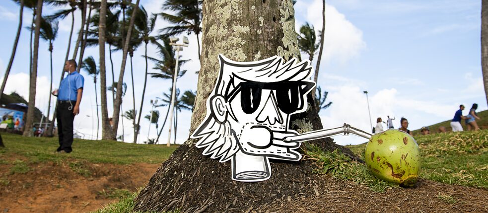 Salvador is renowned not only for its Portuguese colonial architecture, but also for its tropical coast. The city has an incredible 80 km of idyllic beaches. While the Atlantic waves attract numerous surfers, the protected Baía de Todos os Santos invites for a swim. Coconuts are sold at every corner!