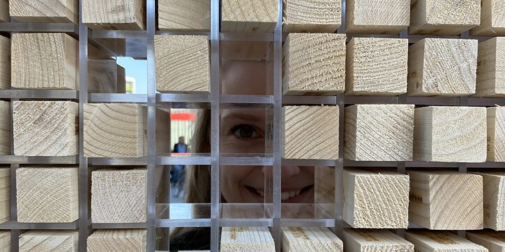 The Disappearing Wall 3