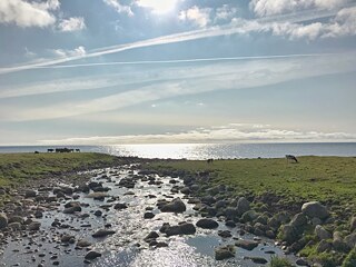 Die schönste Kuhweide der Welt