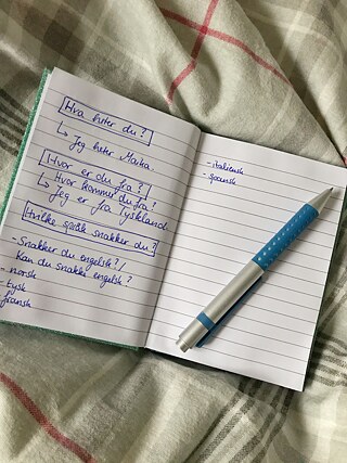 Erste Schritte im Norwegischen (noch nur auf dem Papier) © © Maika Faller Erste Schritte im Norwegischen (noch nur auf dem Papier)