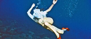 Still Picture from the film “Amygdalia”