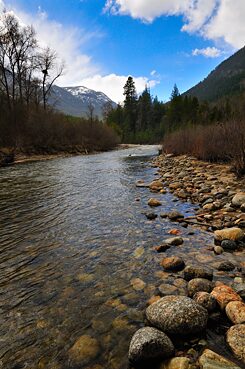 Der „Cultus Creek“ in Darkwoods