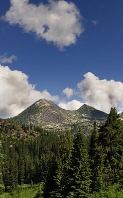 Der Blick auf Berge und Wälder