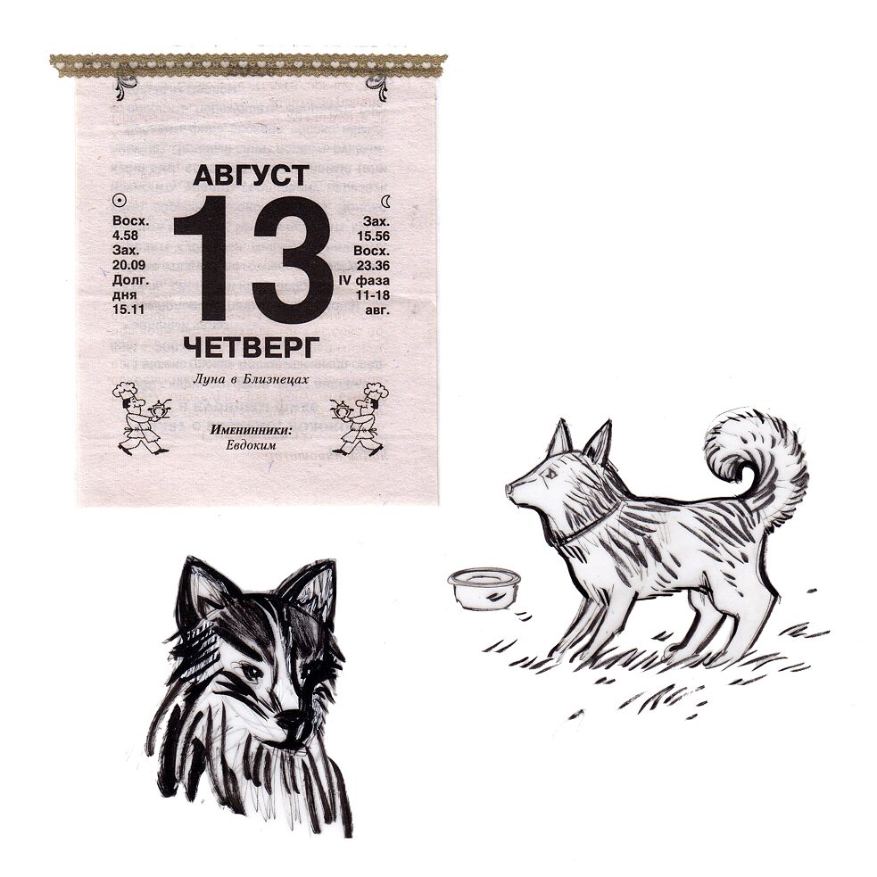 Reise in den Polarural