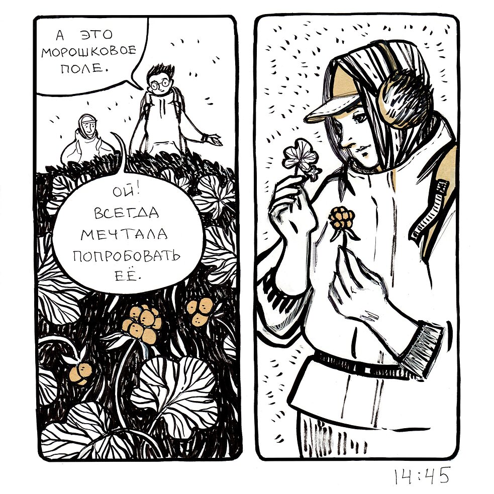 Reise in den Polarural