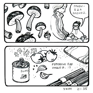 Reise in den Polarural