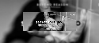 cellar & secrets - beyond reason (tanzcompany din a 13)