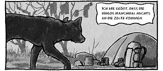 Dingos_2