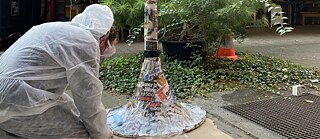 Modular Organ System