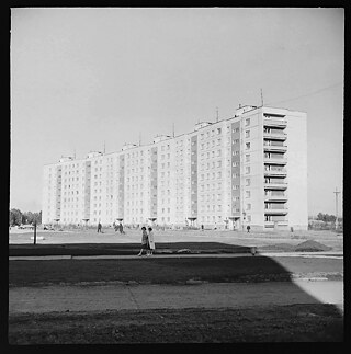 Siberian branch of VASHNIL, beginning of construction