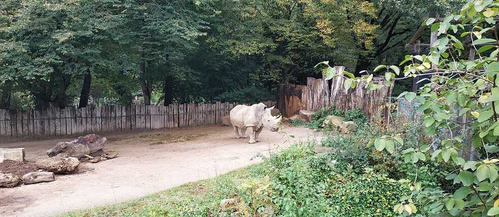 Zoo Dortmund