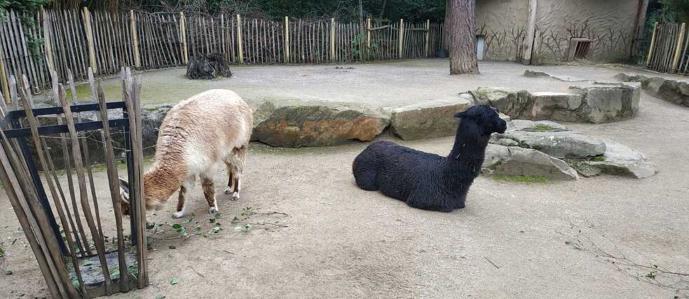 Zoo Dortmund