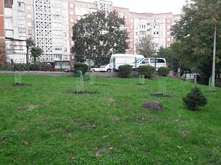 Schulgarten in Ternopil. Neue Apfelbäume im Herbst 2020