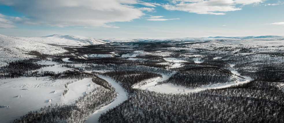 Snowy landscape with woods