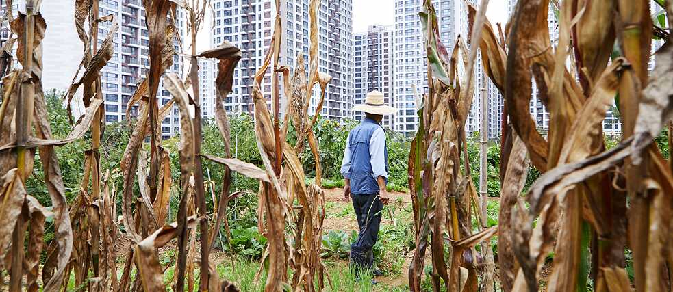 Der Seouler Gangdong-Bezirk. Hier findet man Apartmentsiedlungen und Beete in friedlicher Koexistenz. | Foto: Lee Geun-Young