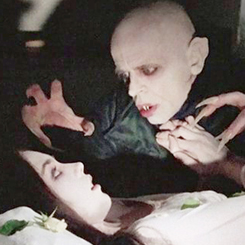 Veranstaltungskalender Redaktionell