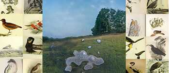 Stones make birds make stones (inyan/zintkala/inyan kagapi)