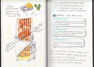 Iran: hin und zurück. Ekaterina Guschtschina 