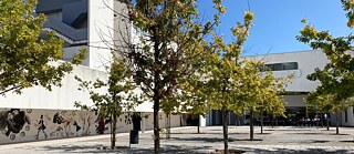 ES Francisco Rodrigues Lobo, Leiria