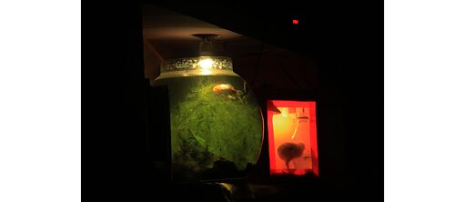 The Loss of Horizon and Converging Acts © Sujit Mallick