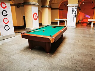 Hegel und seine slowenischen Freunde