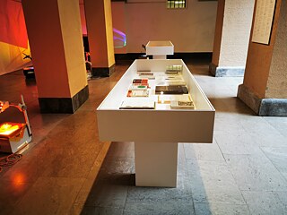 Hegel und seine slowenischen Freunde