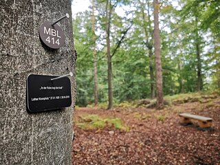 Die Kosten für eine Waldbestattung liegen zwischen 770 Euro für einen Einzelplatz und mindestens 2490 Euro für einen Baum mit bis zu 20 Plätzen.