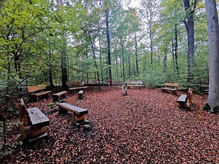 Zu Beginn entstanden Waldfriedhöfe überwiegend in der Nähe von Großstädten und Ballungsgebieten, deren Einwohner Neuerungen aufgeschlossener gegenüberstehen. Dies ist jedoch längst nicht mehr die Regel.