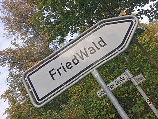 Niemal jedna trzecia leśnych cmentarzy w Niemczech nadzorowana jest przez firmę FriedWald.