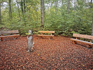 Um Allerheiligen herum wird es im Wald ein wenig voller.