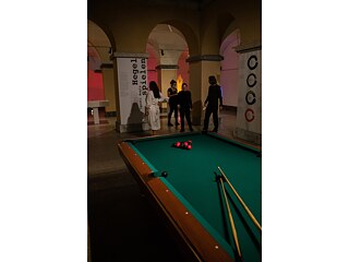 Hegel und seine slowenischen Freunde