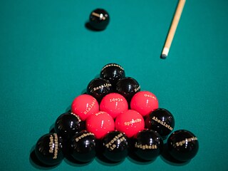 Hegel und seine slowenischen Freunde