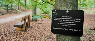 Derzeit gibt es in Deutschland rund 300 Bestattungswälder und es entstehen weitere.