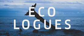 Ecologues Keyvisual