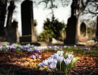 Grabsteine, Kränze und Grablichter sind überflüssig. 'Die Verstorbenen leben nicht in den Grabsteinen weiter, sondern in unseren Herzen', sagt Lars, der nach seinem Tod gern auf einem Waldfriedhof bestattet werden würde.