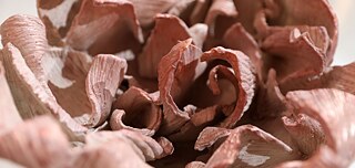 Katarzyna Koczyńska-Kielan