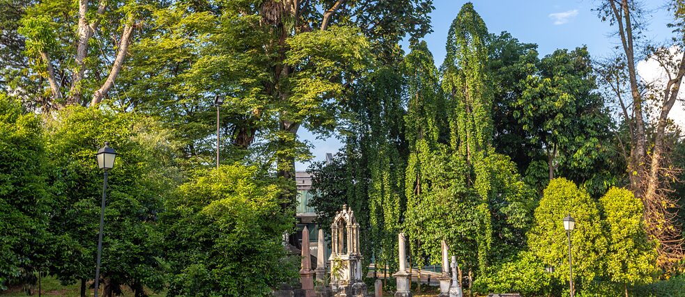 „Garden City“ Singapur: Das viele Grün und die städtischen Parks, wie hier der Fort Canning Park, sind zu grünen Erholungsräumen für die Bewohner geworden. 