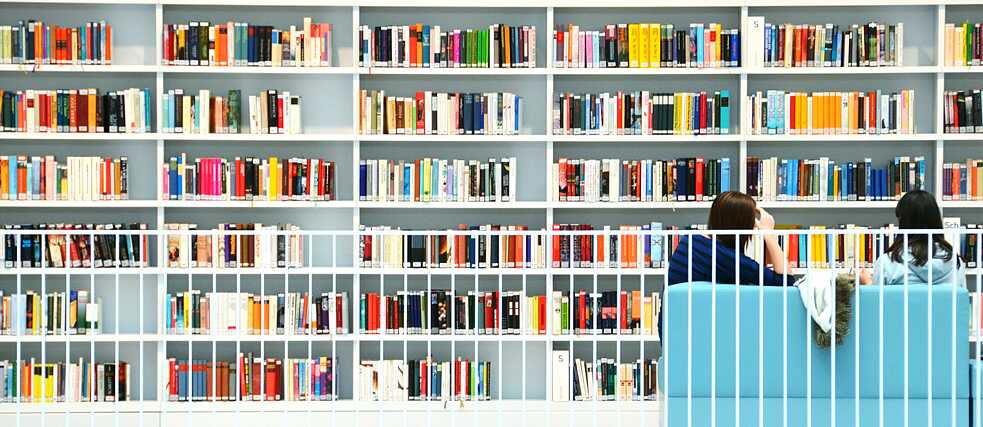 Die Literatur