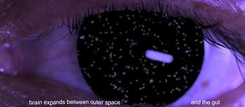 Holobiont