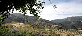 Vistas sobre el Valle de Monachil desde la casa del escritor Rafael Navarro.