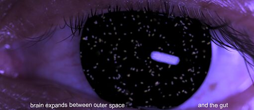 Holobiont by Jenna Sutela