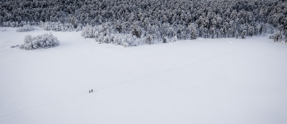 Le vaste paysage du nord devient de plus en plus intéressant pour les parcs éoliens - au grand désarroi de la population indigène. 