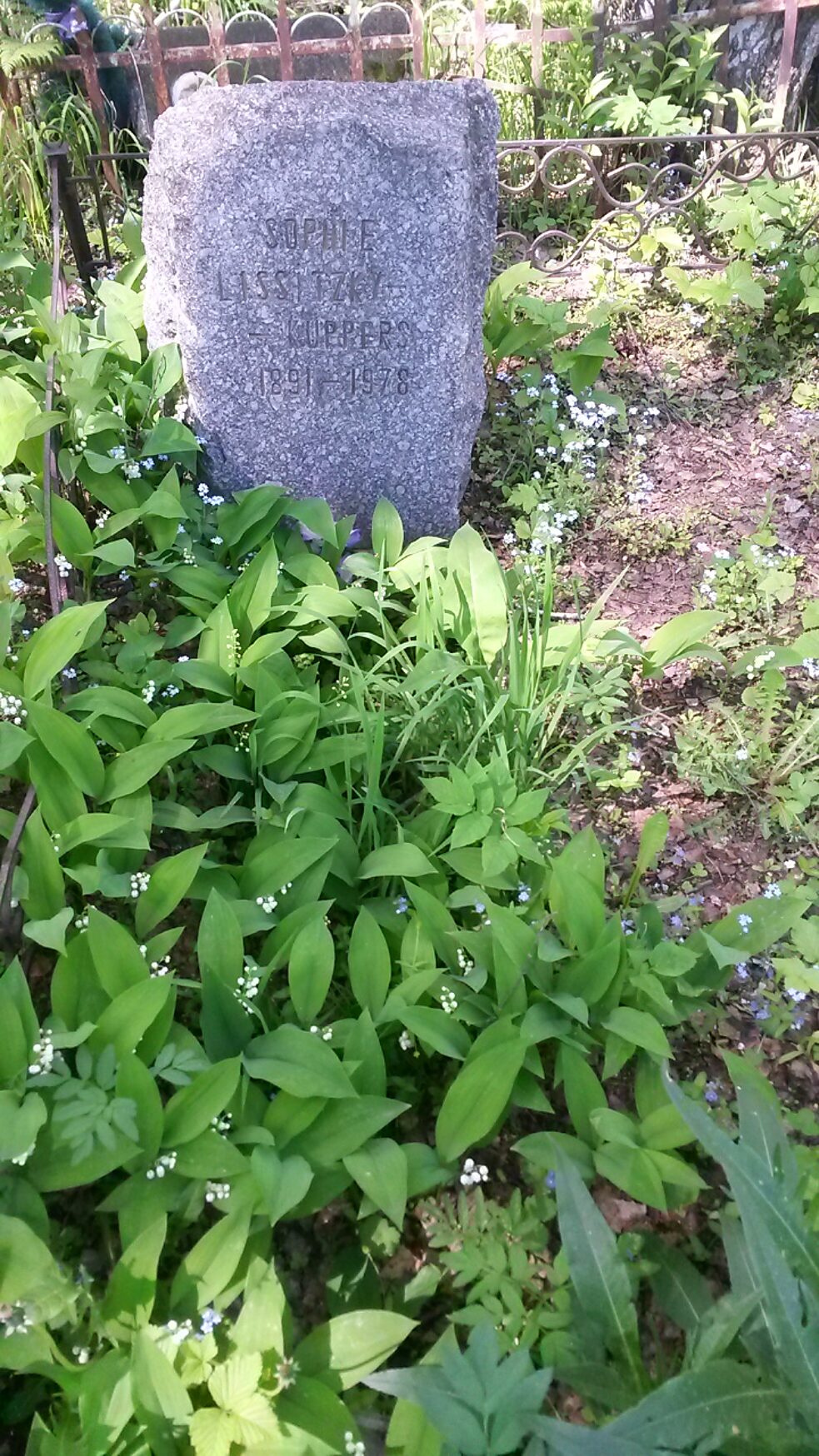 Grave of Sofie Lissitzky-Küppers, Novosibirsk