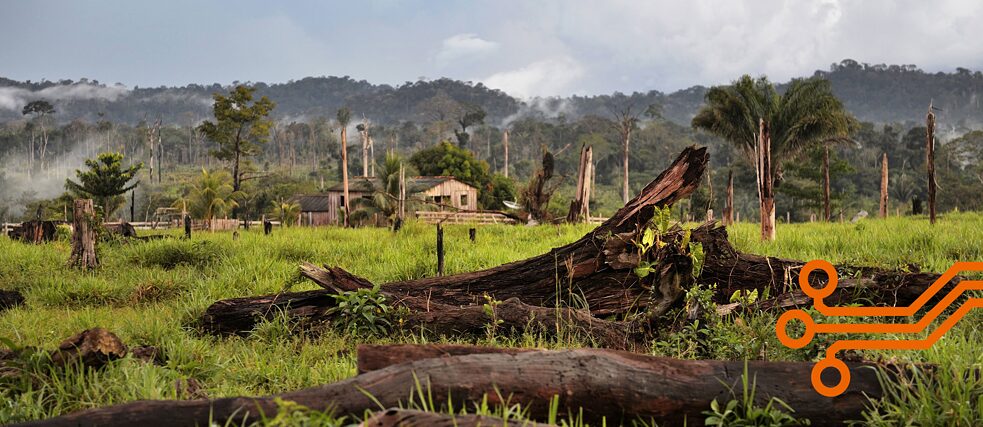 El cambio climático está hiriendo a los grandes almacenadores de carbono, como la selva amazónica. ¿En qué puede ser de ayuda la Inteligencia Artificial? 