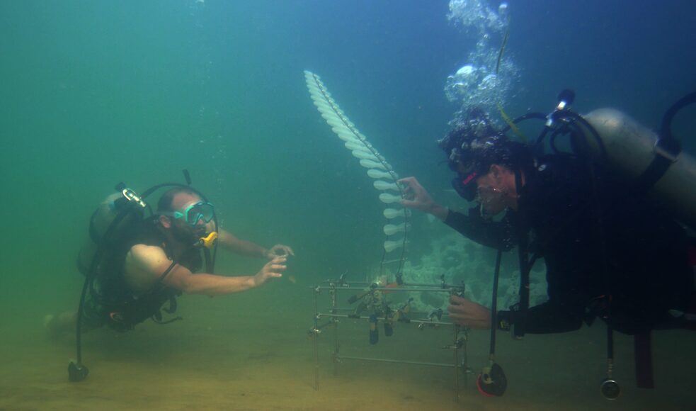 Two divers under water with an art object