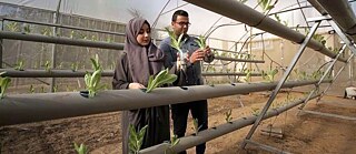الزراعة المائية و استخلاص الزيوت الطبية مبادرات تتحدى الحصار في غزة Perspektiven Das Multimediale Online Magazin Fur Nordafrika Und Nahost Goethe Institut رؤية