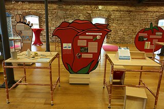 Bild Rose Ausstellung "Ich sehe Was(ser), was du nicht siehst"