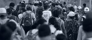 Proyecto Caravana. Caravana migrantes hondureños 2019