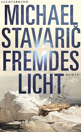 Fremdes Licht von Michael Stavarič