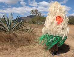 Naomi Rincon Gallardo „Resiliencia Tlacuache (Opossum Resilience)“